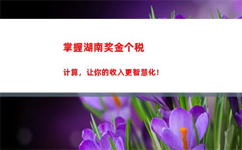 小规模纳税人个人所得税怎么申报(小规模纳税人个人所得税怎么申报怎么计算)