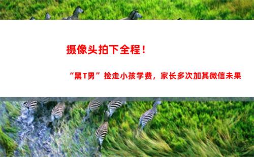 摄像头拍下全程！“黑T男”捡走小孩学费，家长多次加其微信未果(黑色摄像头是拍什么的)