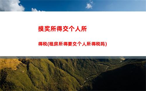 辽宁个人所得税(辽宁个人所得税核定征收办法)