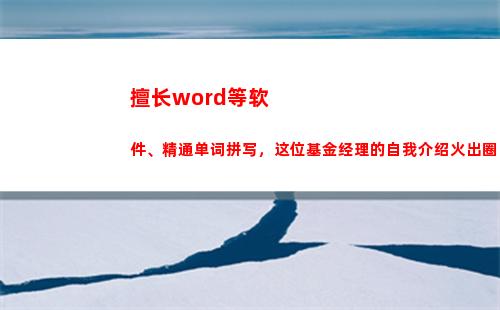 擅长word等软件、精通单词拼写，这位基金经理的自我介绍火出圈(擅长word等软件)