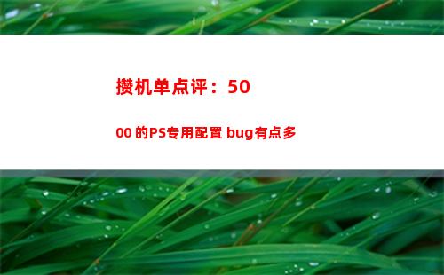 攒机单点评：5000+的PS专用配置 bug有点多(攒机单什么意思)