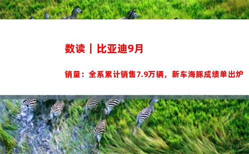 数读｜比亚迪9月销量：全系累计销售7.9万辆，新车海豚成绩单出炉(比亚迪宋max怎么读)
