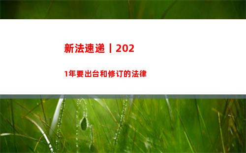 新法速递丨2021年要出台和修订的法律(新法速递图片)