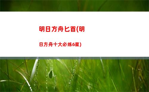 明日方舟白金(明日方舟白金精二立绘)