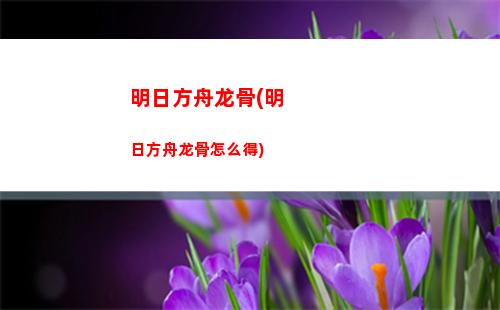 明日方舟工具(明日方舟工具app)