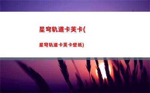 星穹轨道角色被别人使用(星穹轨道官服)