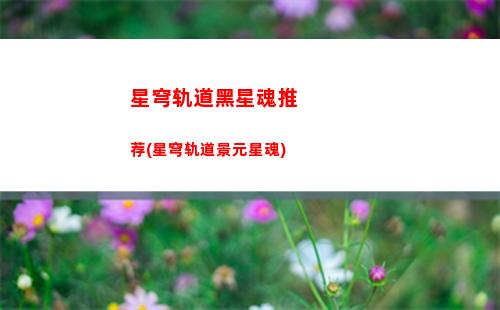 星穹轨道二队怎么配(星穹轨道官服)