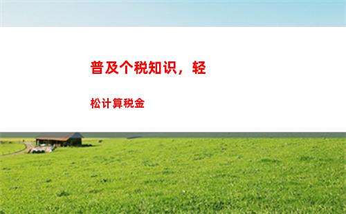 个人所得税个人离职(个人所得税个人离职可以删除吗)