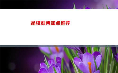 晶核剑侍加点推荐