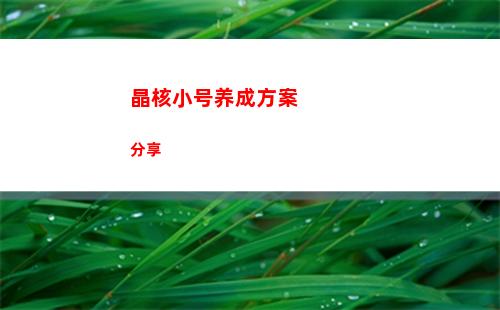 晶核小号养成方案分享