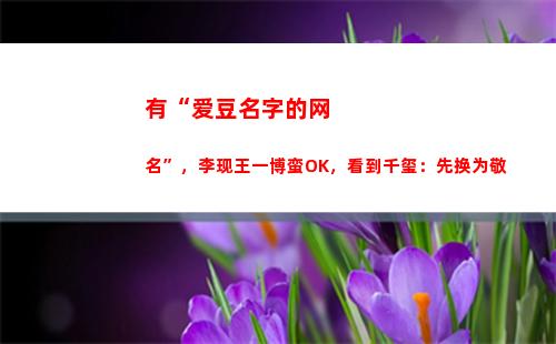 有“爱豆名字的网名”，李现王一博蛮OK，看到千玺：先换为敬(韩国男爱豆名字)