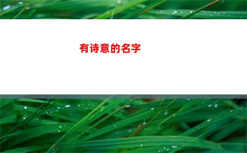 有诗意的名字(女孩取名内涵诗意名字)