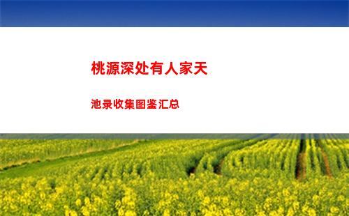 桃源深处有人家天池录收集图鉴汇总