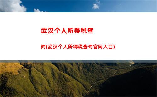 快速查询个税？扫描微信号即可！ (22个字符)