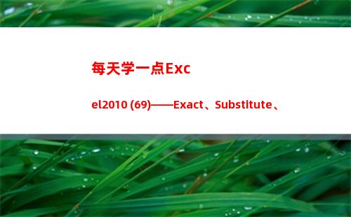 每天学一点Excel2010 (69)——Exact、Substitute、Len Lenb(每天学一点点)
