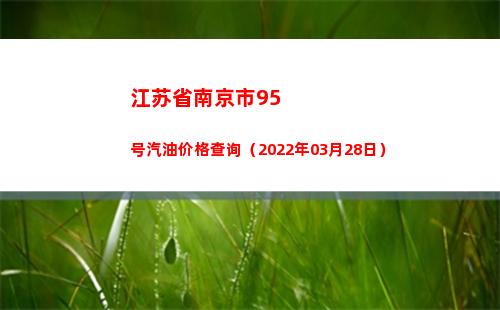 江苏省南京市95号汽油价格查询（2022年03月28日）