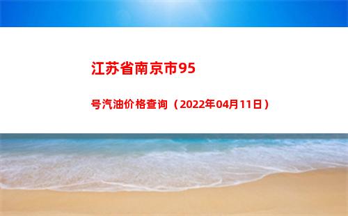 江苏省南京市95号汽油价格查询（2022年04月11日）