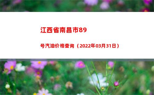 江西省南昌市89号汽油价格查询（2022年03月31日）