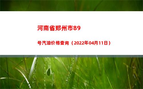河南省郑州市89号汽油价格查询（2022年04月11日）