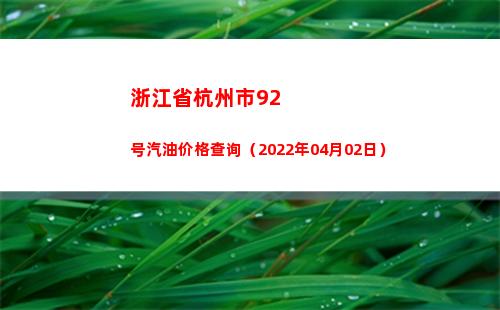 浙江省杭州市92号汽油价格查询（2022年04月02日）