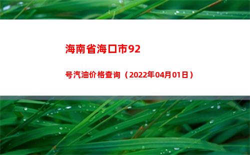 海南省海口市92号汽油价格查询（2022年04月01日）