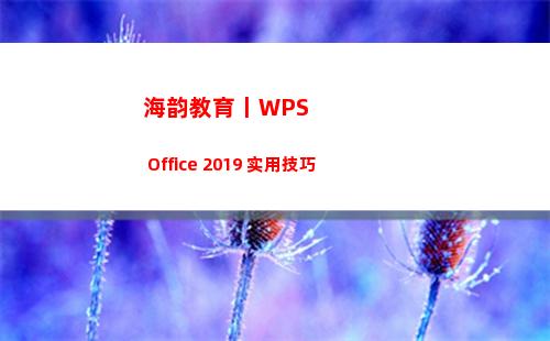 海韵教育丨WPS Office 2019 实用技巧(海韵音乐教育)