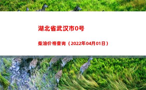湖北省武汉市0号柴油价格查询（2022年04月01日）