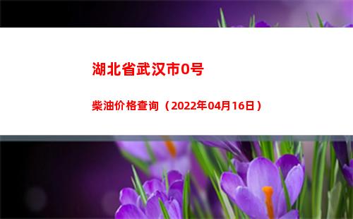 湖北省武汉市0号柴油价格查询（2022年04月16日）