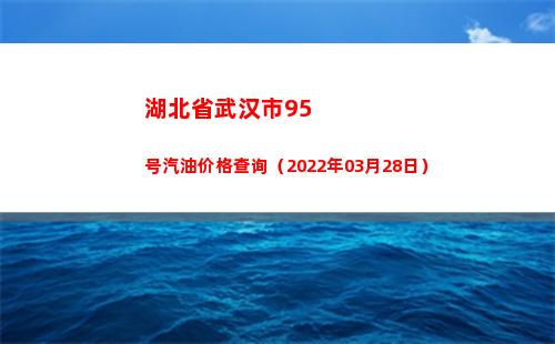 湖北省武汉市95号汽油价格查询（2022年03月28日）