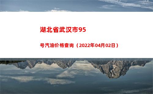 湖北省武汉市95号汽油价格查询（2022年04月02日）