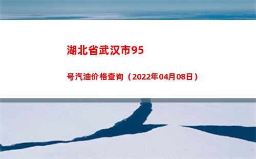 湖北省武汉市95号汽油价格查询（2022年04月08日）