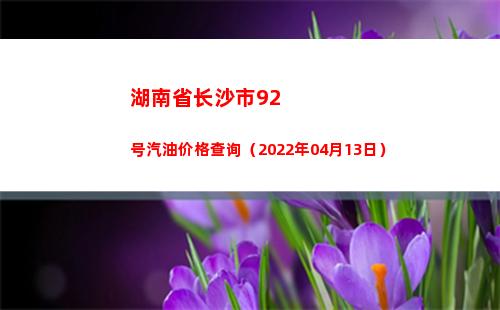 湖南省长沙市92号汽油价格查询（2022年04月13日）