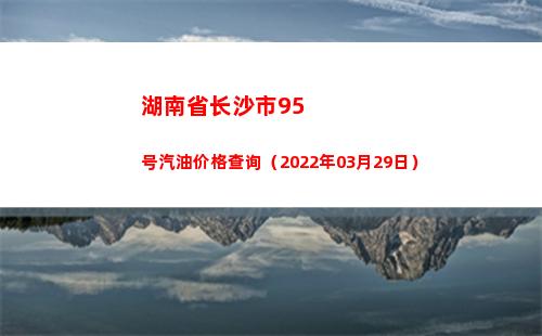 湖南省长沙市95号汽油价格查询（2022年03月29日）