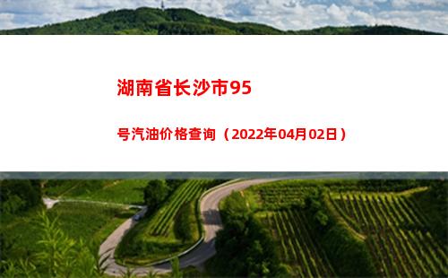 湖南省长沙市95号汽油价格查询（2022年04月02日）