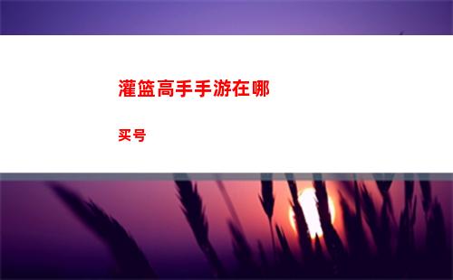 灌篮高手手游在哪买号