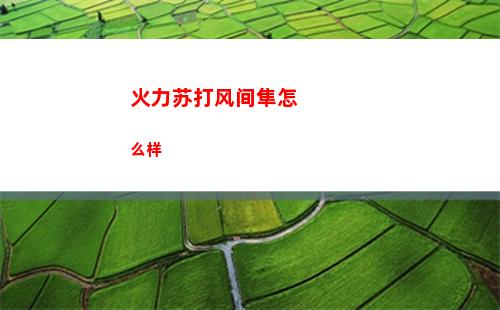 火力苏打风间隼怎么样