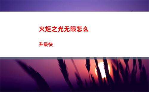 火炬之光无限怎么升级快