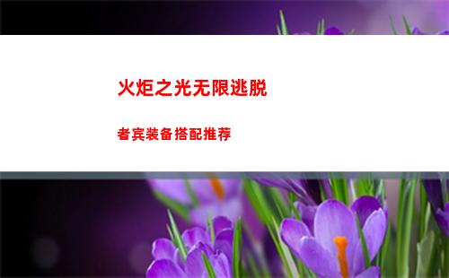 火炬之光无限逃脱者宾装备搭配推荐