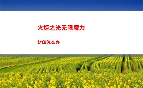 火炬之光无限魔力封印怎么办