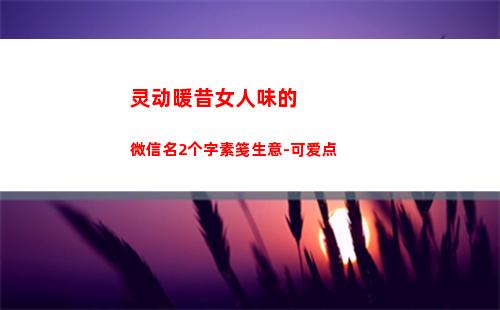 灵动暖昔女人味的微信名2个字素笺生意-可爱点
