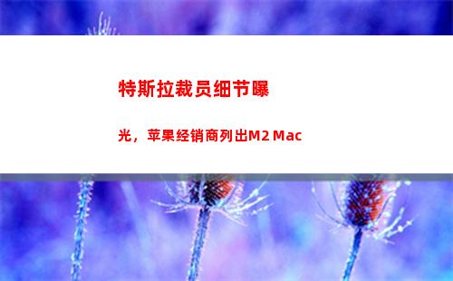 特斯拉裁员细节曝光，苹果经销商列出M2 Mac(特斯拉中国会裁员吗)