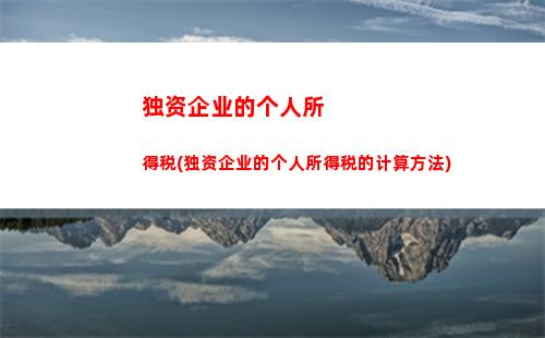 拍卖所得个人所得税最新(拍卖所得个人所得税计算)
