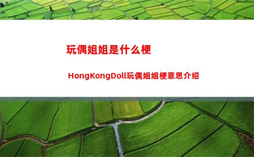 玩偶姐姐是什么梗 HongKongDoll玩偶姐姐梗意思介绍