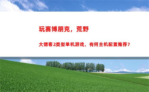 玩赛博朋克，荒野大镖客2类型单机游戏，有何主机配置推荐？(荒野乱斗赛博朋克)