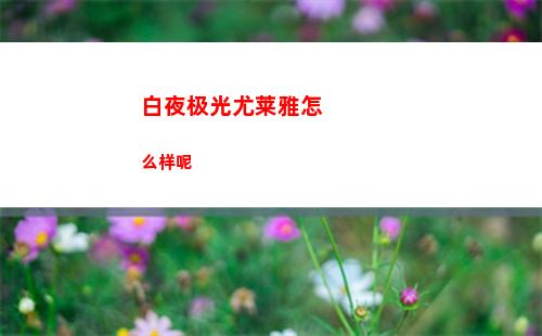 白夜极光尤莱雅怎么样呢