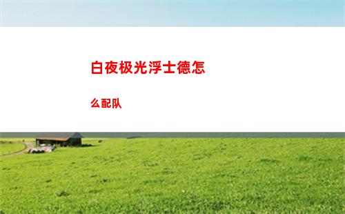 白夜极光浮士德怎么配队