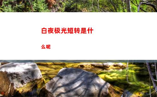 百变大侦探金蝉脱壳所有密码
