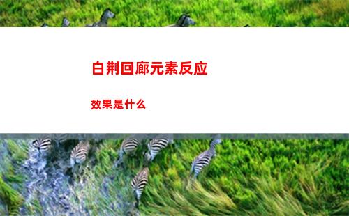 崩坏星穹铁道姬子值得培养吗