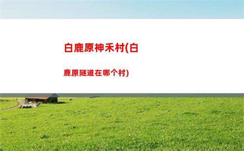 凤凰原神(游戏王凤凰神)