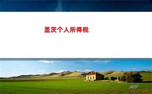 “小工薪带回家，大税如山压顶？”- 个税专业指导，让你省心又省钱